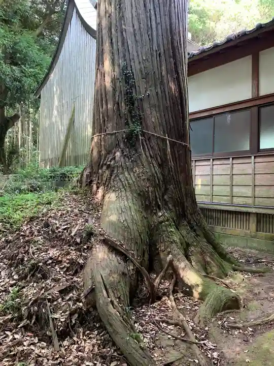 高野神社(千葉県)