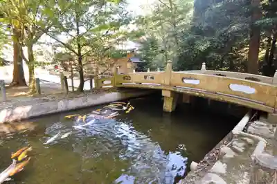 石鎚神社 口之宮 本社(愛媛県)