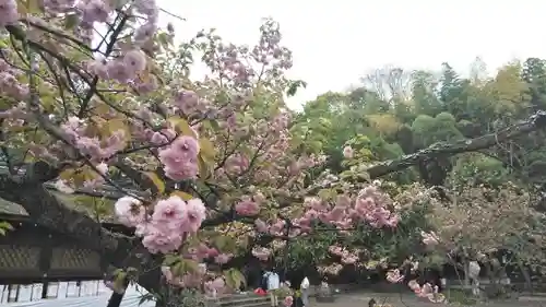 平野神社の庭園