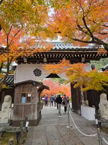 禅林寺（永観堂）(京都府)