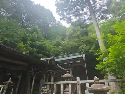 山王大宮神社(滋賀県)