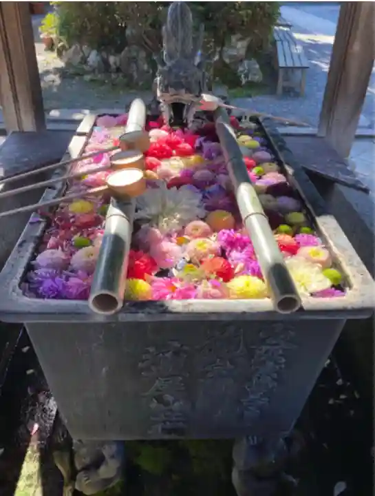 柳谷観音 楊谷寺(京都府)