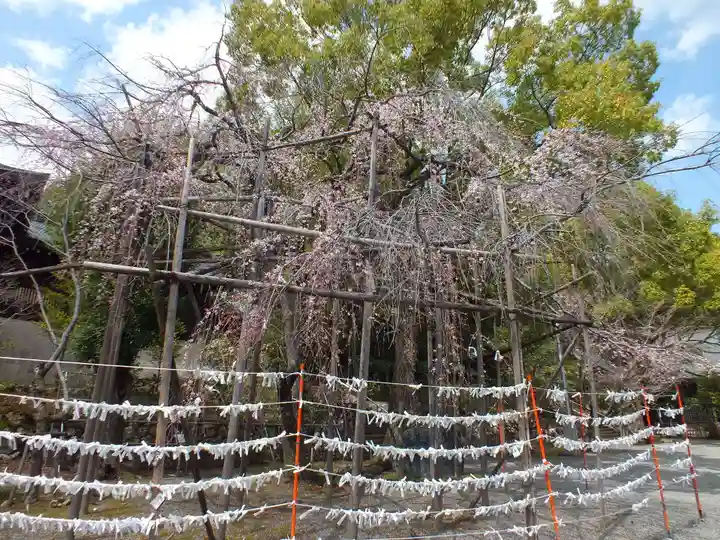 近江神宮のその他建物