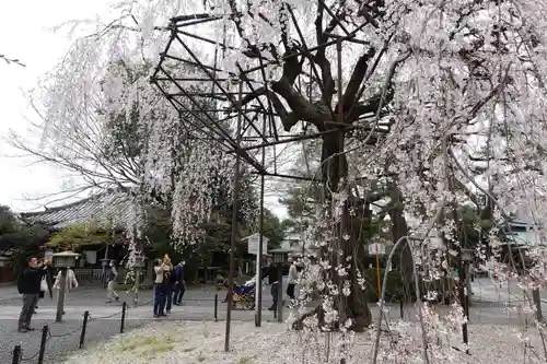 大報恩寺（千本釈迦堂）(京都府)