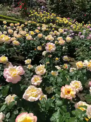 霊山寺(奈良県)