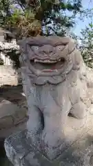 厳島神社の狛犬