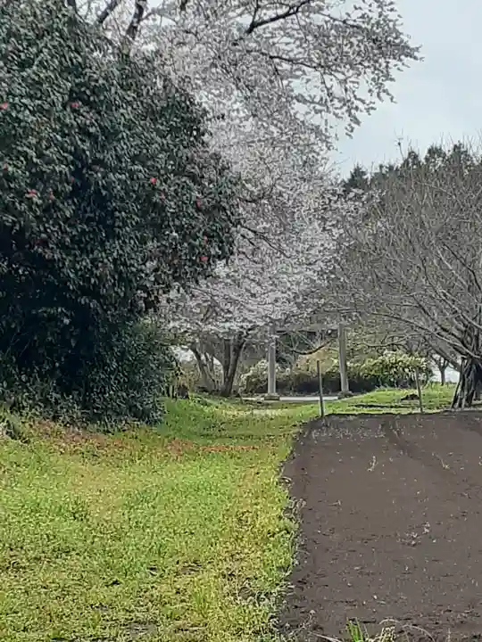 小坂熊野神社(茨城県)