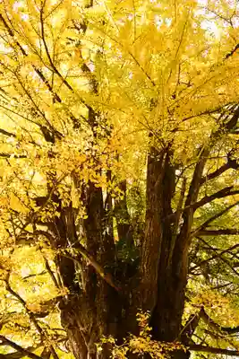 正法寺(滋賀県)