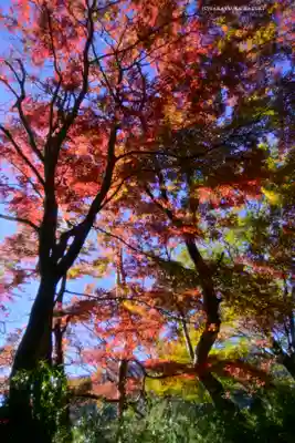 九頭龍神社本宮(神奈川県)