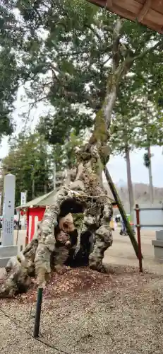 賀茂神社の周辺