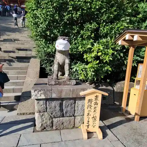 鶴岡八幡宮の狛犬