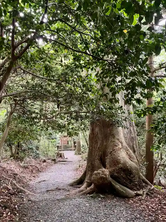 祓戸神社(新潟県)