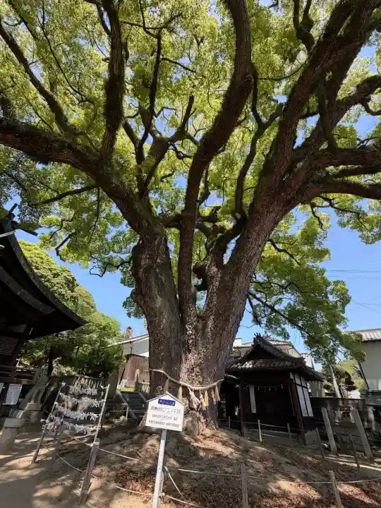 艮神社の{uncategorized: "未分類", other: "その他", undefined: "問題あり", building: "その他建物", grave: "お墓", sacred_gate: "鳥居", guardian: "狛犬", statue: "像", buddha: "仏像", history: "歴史", nature: "自然", garden: "庭園", animal: "動物", pagoda: "塔", temizu: "手水舎", mountain_gate: "山門・神門", sanctuary: "本殿・本堂", subordinate: "末社・摂社", art: "芸術", scenery: "景色", jizo: "地蔵", ema: "絵馬", goshuin: "御朱印", omikuji: "おみくじ", items: "授与品その他", amulet: "お守り", goshuincho: "御朱印帳", eats: "食事", festival: "お祭り", votive_dance: "神楽", shichigosan: "七五三参", wedding: "結婚式", experience: "体験その他", initially: "初詣", around: "周辺", anti_infection: "感染症対策"}