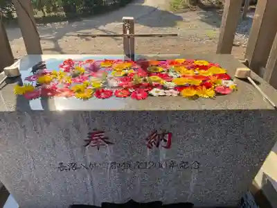 長沼八幡宮(栃木県)