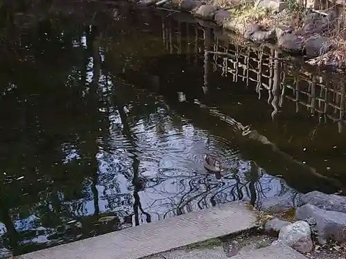 富知六所浅間神社の庭園