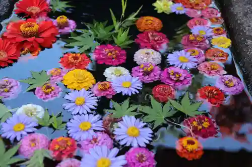 大鏑神社の手水舎
