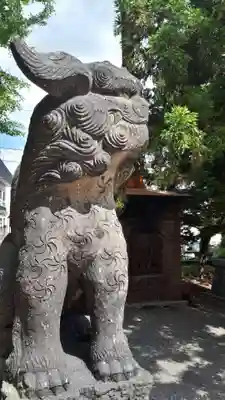 発寒神社の狛犬