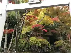 鹿嶋神社の自然