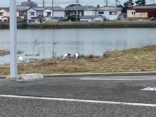 常徳寺(兵庫県)