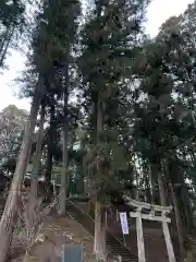 大宮温泉神社の鳥居