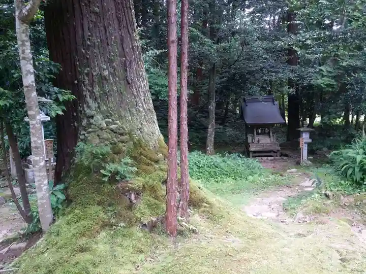 粟鹿神社(兵庫県)
