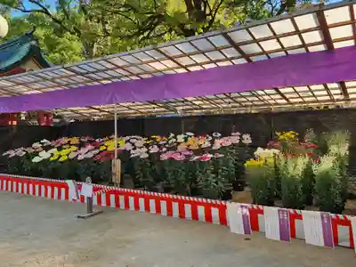 太宰府天満宮のその他建物