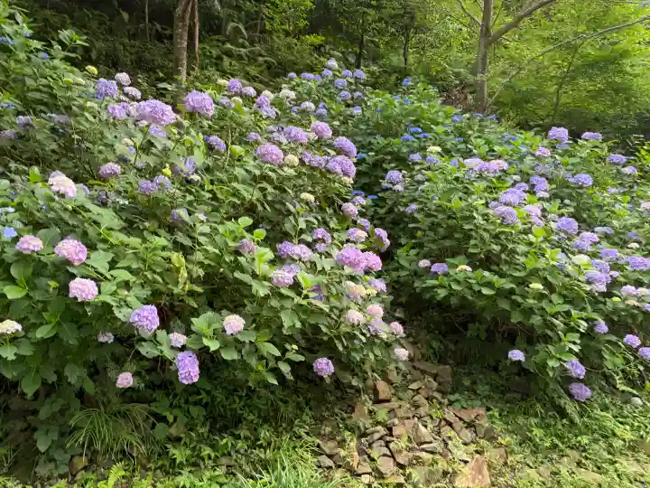 大縣神社(愛知県)