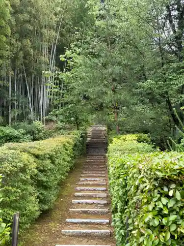 福成寺(京都府)