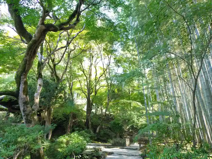 圓光寺(京都府)