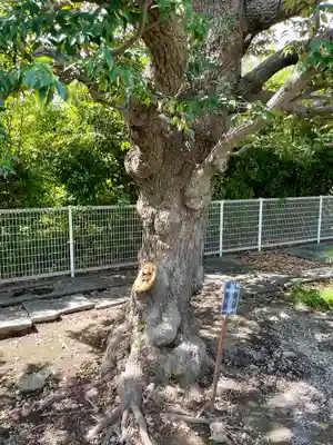 真勝院(東京都)