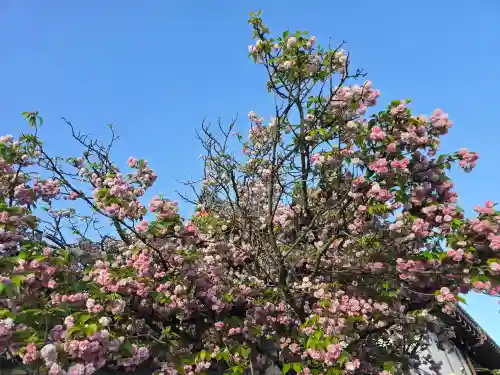 久修園院(大阪府)