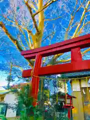 龍ケ崎八坂神社の鳥居