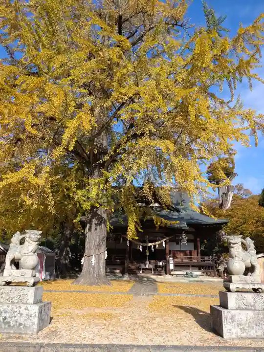 賀羅加波神社(広島県)