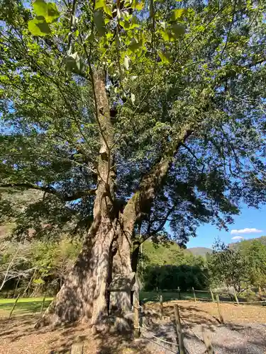天石門別神社(岡山県)