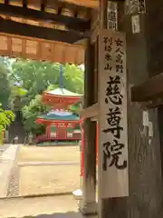 慈尊院の建物その他