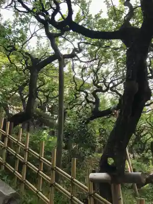 湯島天満宮(東京都)