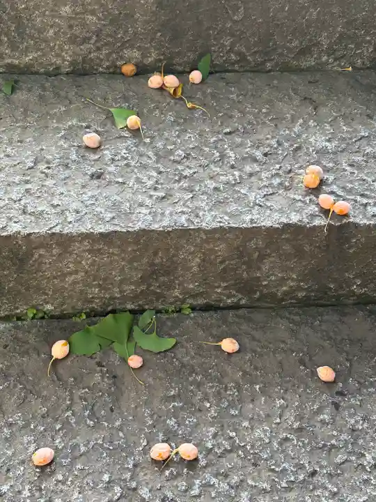 菅原神社の自然
