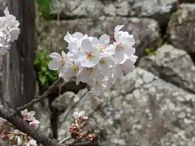 くろ谷 金戒光明寺(京都府)