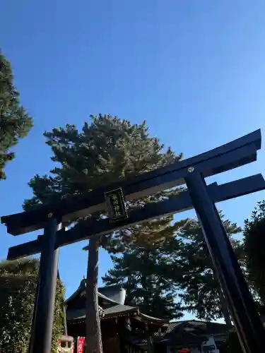 中野沼袋氷川神社の{uncategorized: "未分類", other: "その他", undefined: "問題あり", building: "その他建物", grave: "お墓", sacred_gate: "鳥居", guardian: "狛犬", statue: "像", buddha: "仏像", history: "歴史", nature: "自然", garden: "庭園", animal: "動物", pagoda: "塔", temizu: "手水舎", mountain_gate: "山門・神門", sanctuary: "本殿・本堂", subordinate: "末社・摂社", art: "芸術", scenery: "景色", jizo: "地蔵", ema: "絵馬", goshuin: "御朱印", omikuji: "おみくじ", items: "授与品その他", amulet: "お守り", goshuincho: "御朱印帳", eats: "食事", festival: "お祭り", votive_dance: "神楽", shichigosan: "七五三参", wedding: "結婚式", experience: "体験その他", initially: "初詣", around: "周辺", anti_infection: "感染症対策"}