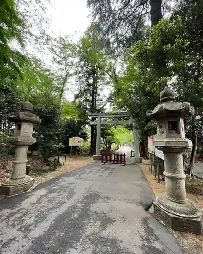 岩槻久伊豆神社の鳥居