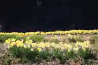 高司神社〜むすびの神の鎮まる社〜の周辺