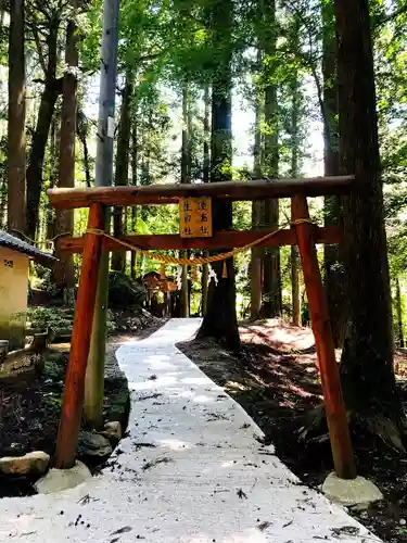 穴森神社の鳥居