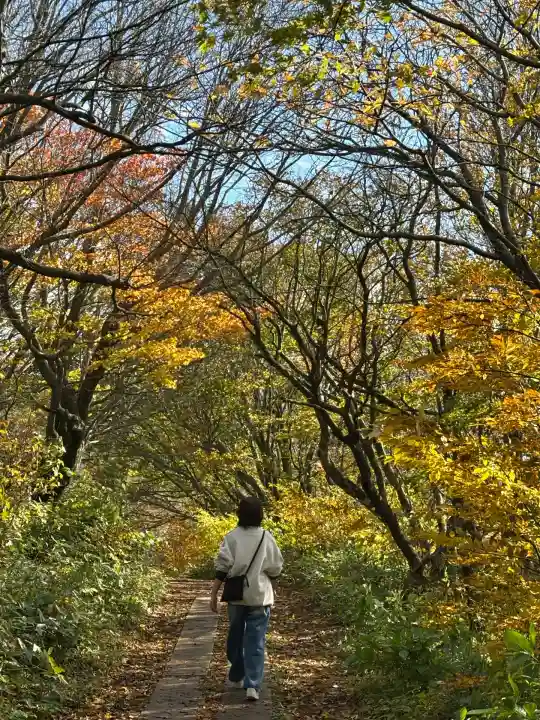 彌彦神社奥宮(御神廟)(新潟県)