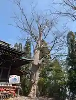 横山八幡宮(岩手県)