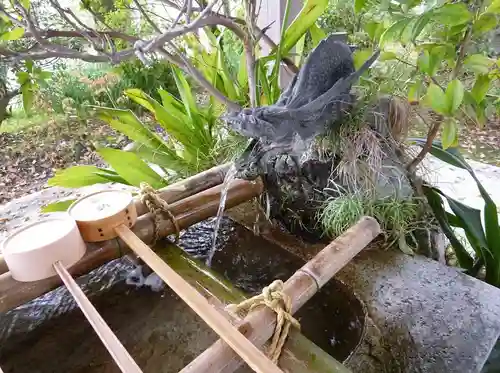 治水神社の手水