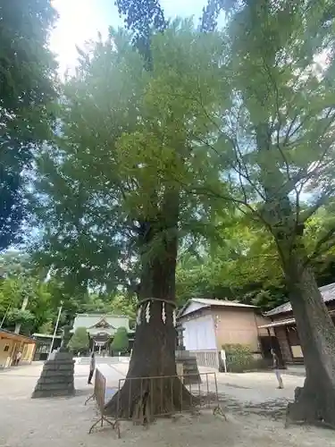 春日部八幡神社(埼玉県)