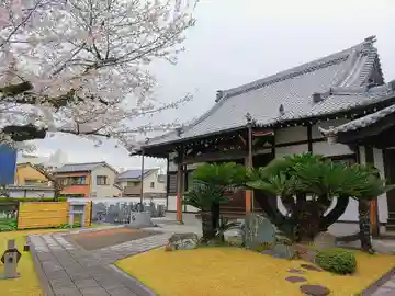 安栄寺の本殿・本堂