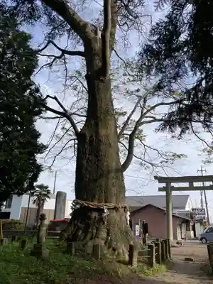 智賀都神社(栃木県)