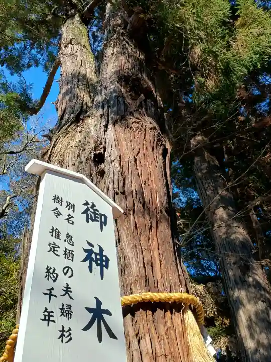 息栖神社の{uncategorized: "未分類", other: "その他", undefined: "問題あり", building: "その他建物", grave: "お墓", sacred_gate: "鳥居", guardian: "狛犬", statue: "像", buddha: "仏像", history: "歴史", nature: "自然", garden: "庭園", animal: "動物", pagoda: "塔", temizu: "手水舎", mountain_gate: "山門・神門", sanctuary: "本殿・本堂", subordinate: "末社・摂社", art: "芸術", scenery: "景色", jizo: "地蔵", ema: "絵馬", goshuin: "御朱印", omikuji: "おみくじ", items: "授与品その他", amulet: "お守り", goshuincho: "御朱印帳", eats: "食事", festival: "お祭り", votive_dance: "神楽", shichigosan: "七五三参", wedding: "結婚式", experience: "体験その他", initially: "初詣", around: "周辺", anti_infection: "感染症対策"}