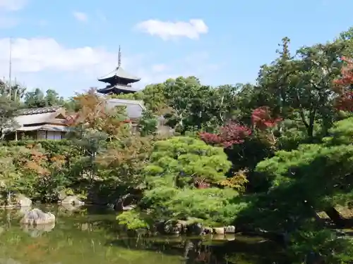 仁和寺の庭園